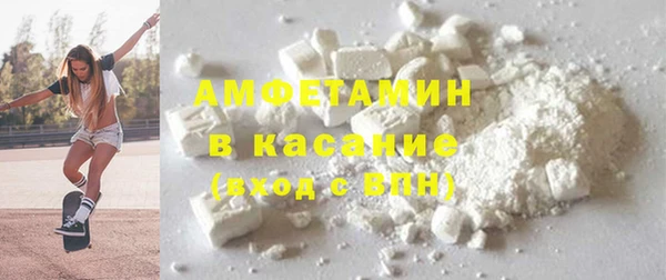ГАЛЛЮЦИНОГЕННЫЕ ГРИБЫ Лагань
