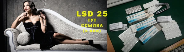 ГАЛЛЮЦИНОГЕННЫЕ ГРИБЫ Лагань