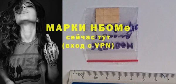 ГАЛЛЮЦИНОГЕННЫЕ ГРИБЫ Лагань