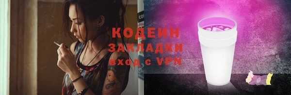 ГАЛЛЮЦИНОГЕННЫЕ ГРИБЫ Лагань