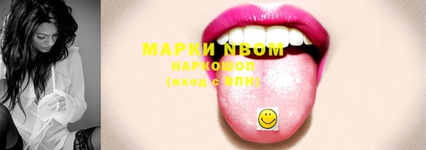 ГАЛЛЮЦИНОГЕННЫЕ ГРИБЫ Лагань