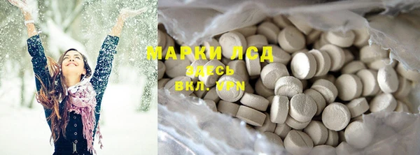 ГАЛЛЮЦИНОГЕННЫЕ ГРИБЫ Лагань